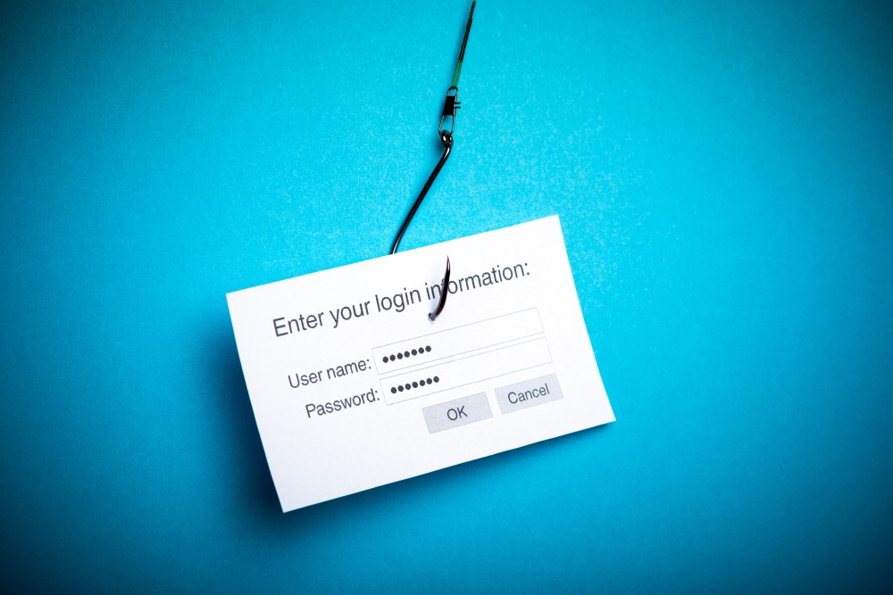phishing graphic for cybersecurity information