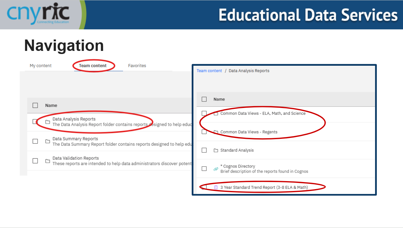 screen shot of a common data view report with multiple fields to choose from